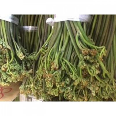 わらび (塩蔵) 1kg