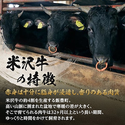 田中屋　米沢牛カレー(3食セット)