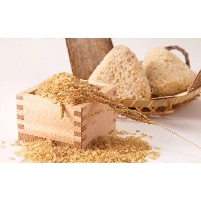 令和3年飯豊町産雪若丸1等玄米20kg(クラフト袋入り)