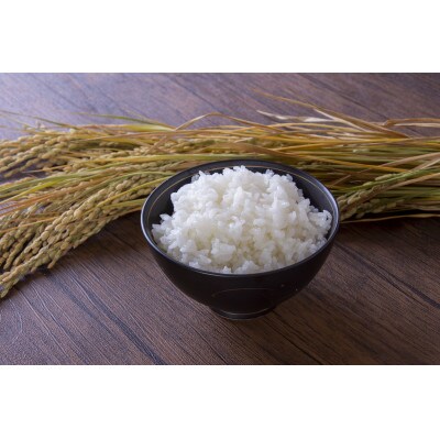 飯豊町産　生産者の顔が見える米　雪若丸白米10kg(精米・クラフト袋入)