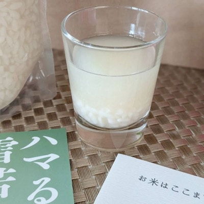 【甘酒】飯豊の生あまさけ600g・10本【冷凍発送】