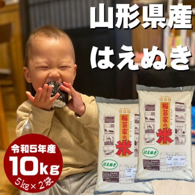 はえぬき　白米　10kg　令和5年山形県飯豊町産　お米屋さんおすすめのおいしいお米