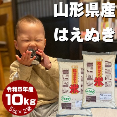 はえぬき 白米10kg(令和5年山形県飯豊町産) | お礼品詳細 | ふるさと