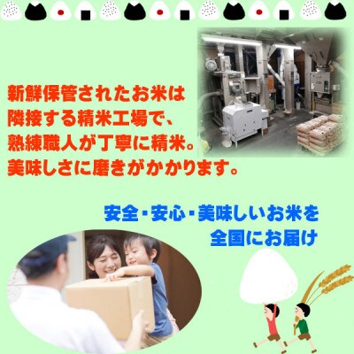 山形県産　雪若丸　白米10kg(令和4年飯豊町産)[10kg(5kg×2)]