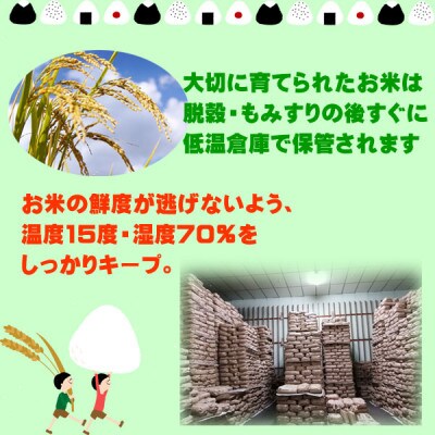 雪若丸白米10kg　　令和5年山形県飯豊町産　お米屋さんおすすめのおいしいお米