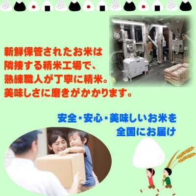 雪若丸白米10kg　　令和5年山形県飯豊町産　お米屋さんおすすめのおいしいお米