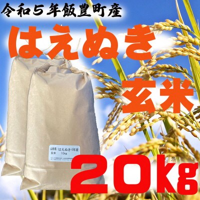 はえぬき　玄米　20kg　令和5年山形県飯豊町産　お米屋さんおすすめのおいしいお米