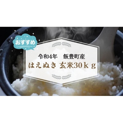 令和4年度産 はえぬき 冷蔵庫保管玄米30kg