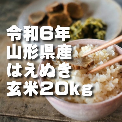 はえぬき 玄米 20kg 令和6年山形県飯豊町産 お米屋さんおすすめのおいしいお米