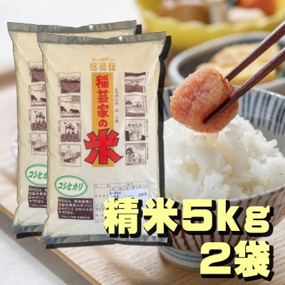コシヒカリ 白米 10kg 令和6年山形県飯豊町産 お米屋さんおすすめのおいしいお米