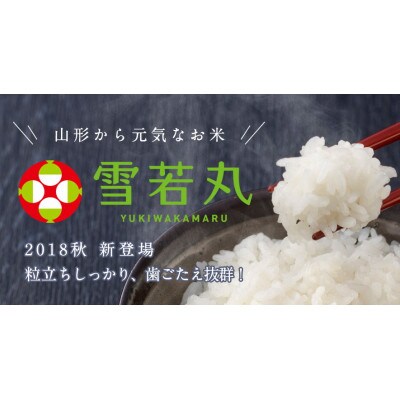 雪若丸 白米 10kg 令和6年山形県飯豊町産 お米屋さんおすすめのおいしいお米
