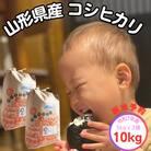 新米予約【生産者の顔が見える米】令和7年飯豊町産コシヒカリ 精米10kg【白米】