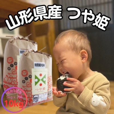 【生産者の顔が見える米】令和7年飯豊町産 特別栽培米つや姫10kg【白米】