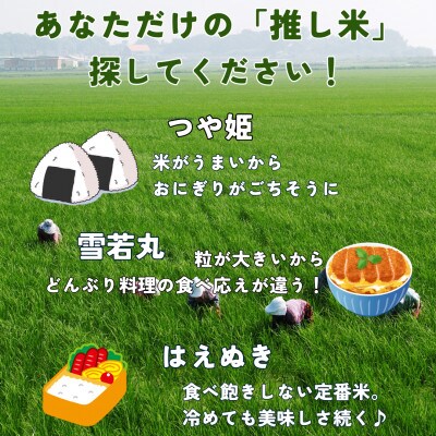 山形県産米～推し米～セット