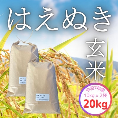 【令和7年産】飯豊町産　はえぬき玄米20kg