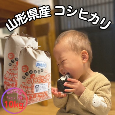 【生産者の顔が見える米】令和7年飯豊町産コシヒカリ10kg【白米】