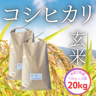 【令和7年産】飯豊町産　コシヒカリ玄米20kg