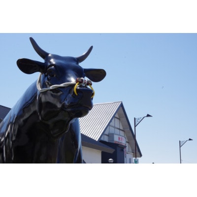 【山形県飯豊町】めざみの里観光物産館 レストラン利用券 10,000円分