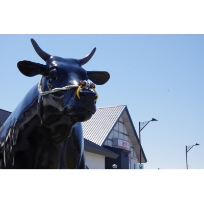 【山形県飯豊町】めざみの里観光物産館 レストラン利用券 5,000円分