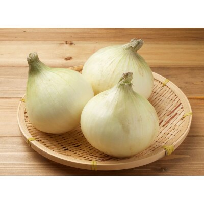 新たまねぎ5kg(山形県飯豊町産)