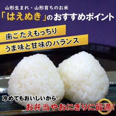 はえぬき白米10kg　山形県飯豊町産
