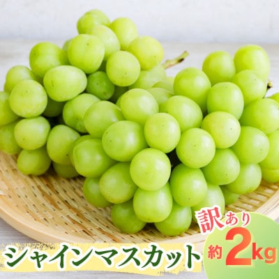 【訳あり】山形県飯豊町産　シャインマスカット　約2kg