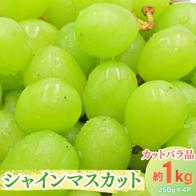 シャインマスカット 粒 カットバラ品 約1kg(250g×4P)山形県飯豊町産
