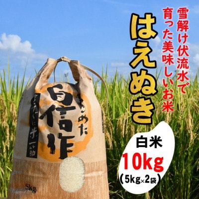 はえぬき白米10kg　山形県飯豊町産【令和8年産】