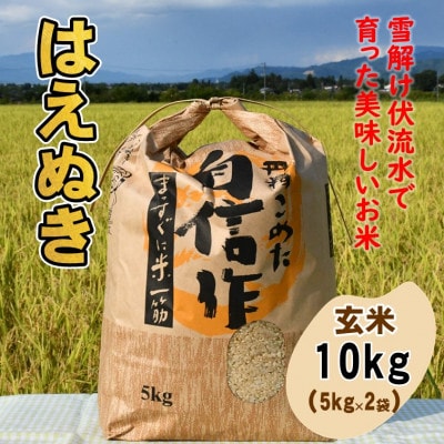 はえぬき玄米10kg　山形県飯豊町産【令和8年産】