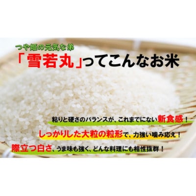 人気のブランド米　雪若丸　白米10kg(5kg×2袋)山形県飯豊町産【令和8年産】