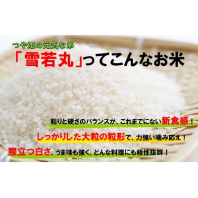 人気のブランド米　雪若丸　玄米　10kg(5kg×2袋)山形県飯豊町産【令和8年産】