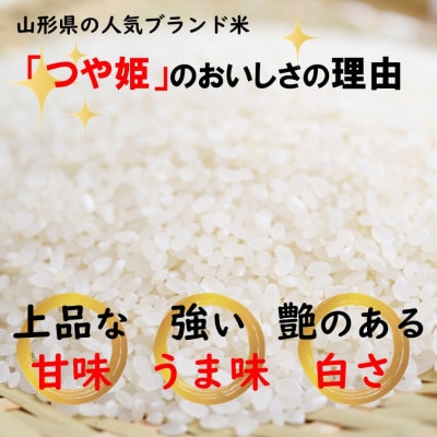 つや姫・雪若丸セット　白米各5kg　山形県飯豊町産　人気ブランド米【令和8年産】