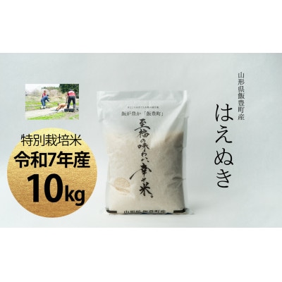 【令和7年産】至福の味わい、幸せ米。「はえぬき」精米 10kg