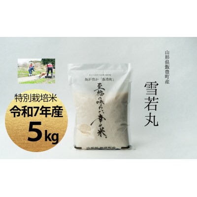 【令和7年産】至福の味わい、幸せ米。「雪若丸」精米 5kg