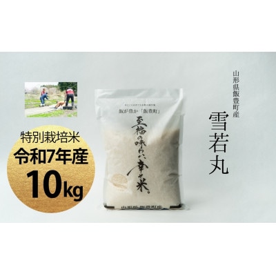【令和7年産】至福の味わい、幸せ米。「雪若丸」精米 10kg