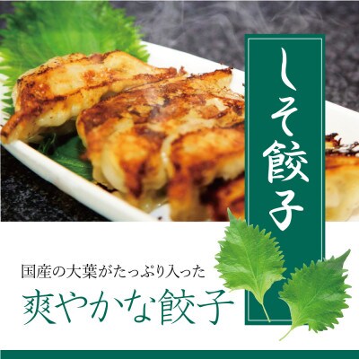 餃子の惑星のご試食セット【オリジナル18個、しそ18個、ゆず18個】(ほど辛たれ付)