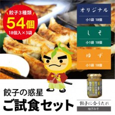 餃子の惑星のご試食セット【オリジナル18個、しそ18個、ゆず18個】(柚子みそたれ付) | ふるさと納税のお礼品