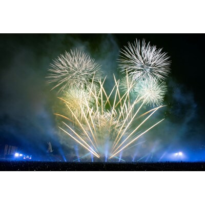 第5回万博夜空がアートになる日 花火鑑賞チケット パノラマシート子供1名(大阪北摂エリア共通返礼品)