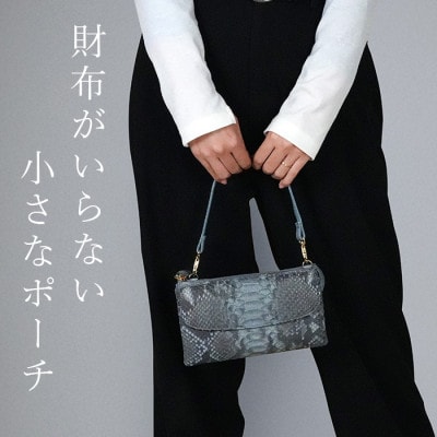 Costoroma　財布の要らないパイソン革ポーチウォレット　ブルーグレー