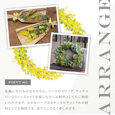 箕面産ミモザ切り花(5本)2月上旬以降発送予定