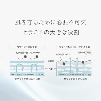 トゥヴェール　ナノエマルジョン ディープ (乳液)　60mL