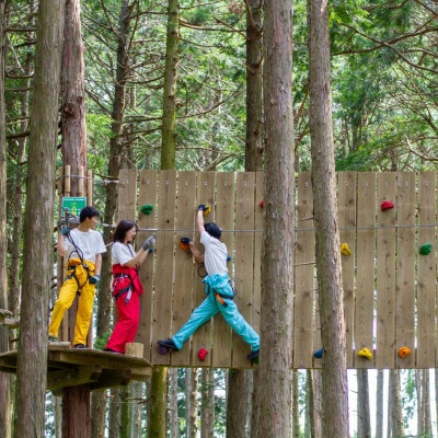オドルの森　アドベンチャーコース　1名様利用券