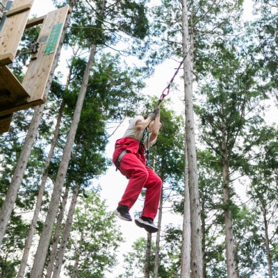 オドルの森　アドベンチャーコース　1名様利用券