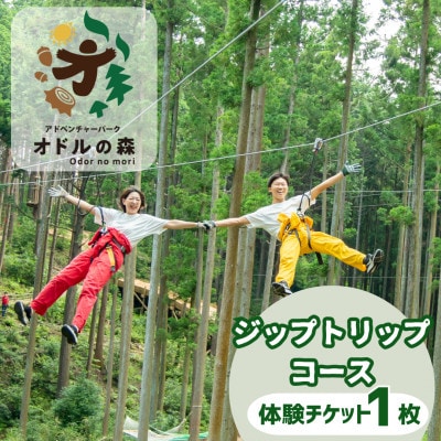 オドルの森　ジップトリップコース1名様利用券
