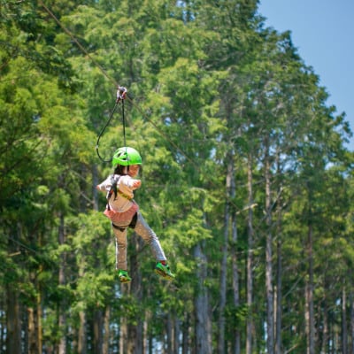 オドルの森　ジップトリップコース1名様利用券