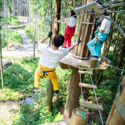 オドルの森　ジップトリップコース1名様利用券