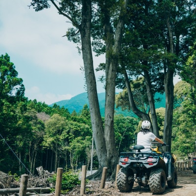 オドルの森 セットプラン【カモシカバギー+フォレストアドベンチャー】1名様利用券