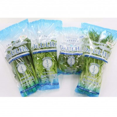 カリウムが気になる方へ!生で食べられます!低カリウム野菜「Dr,ULHA」おすすめ5袋セット