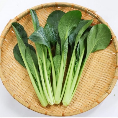 カリウムが気になる方へ!生で食べられます!低カリウム野菜「Dr,ULHA」おすすめ5袋セット