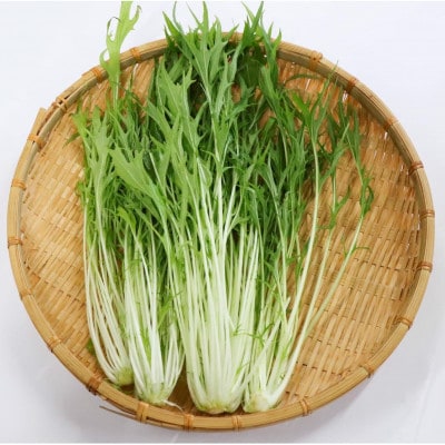 カリウムが気になる方へ!生で食べられます!低カリウム野菜「Dr,ULHA」おすすめ5袋セット